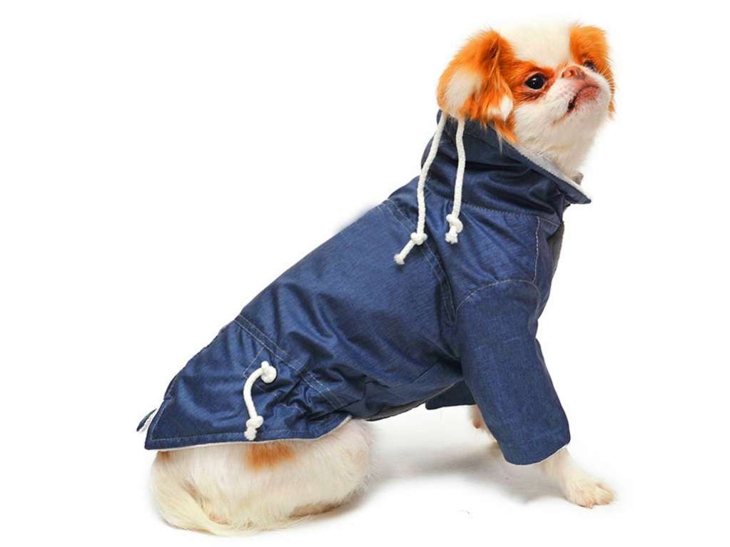 Дождевик для собаки Парка Puffy Casual