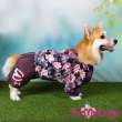 Дождевик для таксы и корги ForMyDogs Кувшинки
