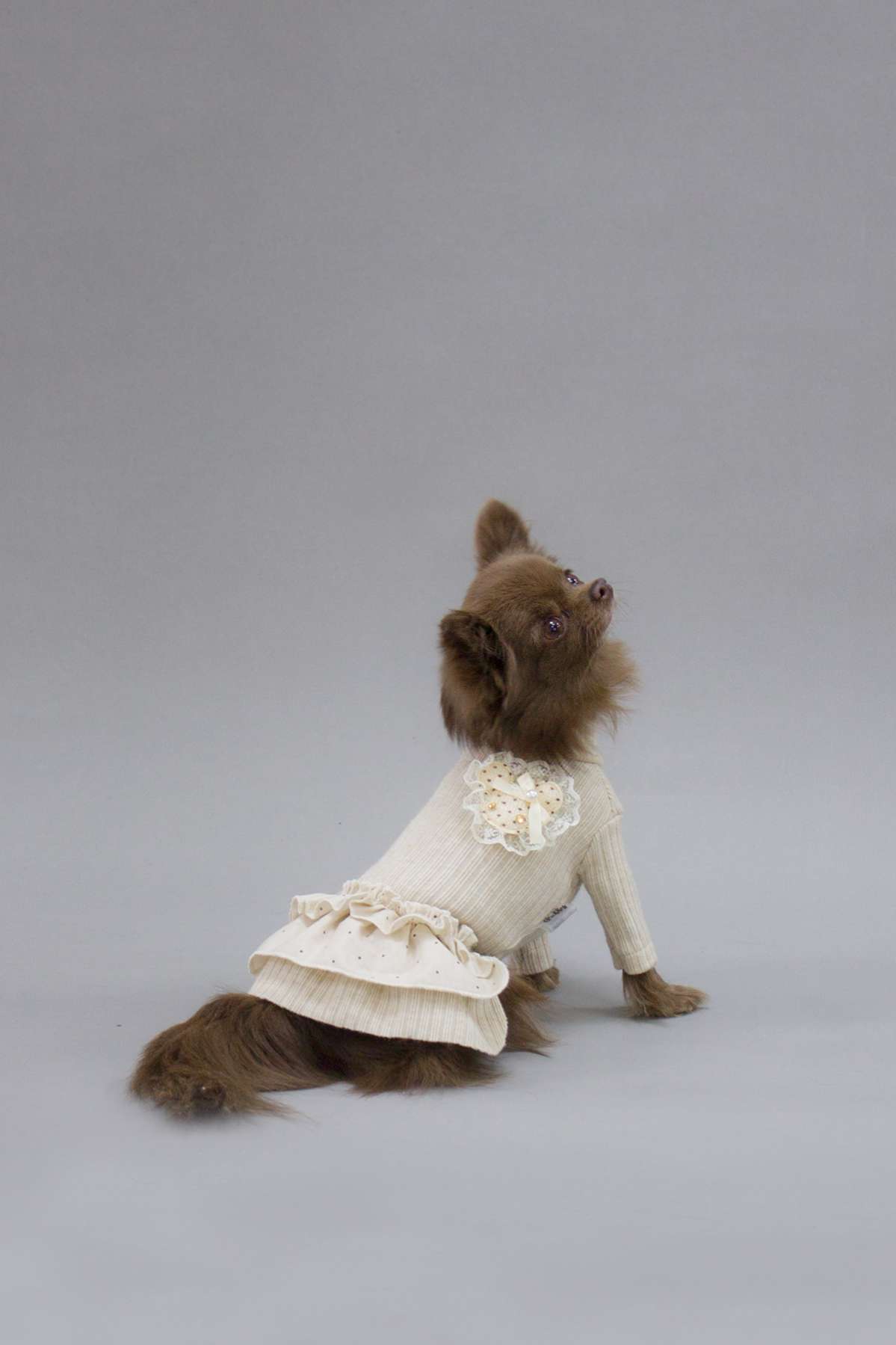 Платье для собак Puffy Лапша бежевое