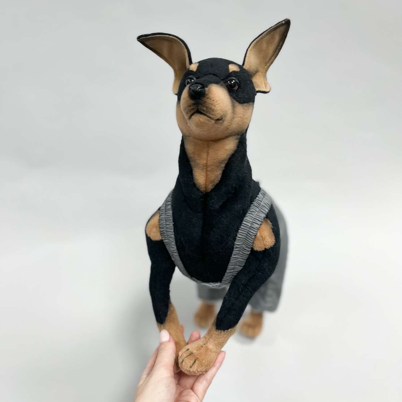 Штаны для собак теплые