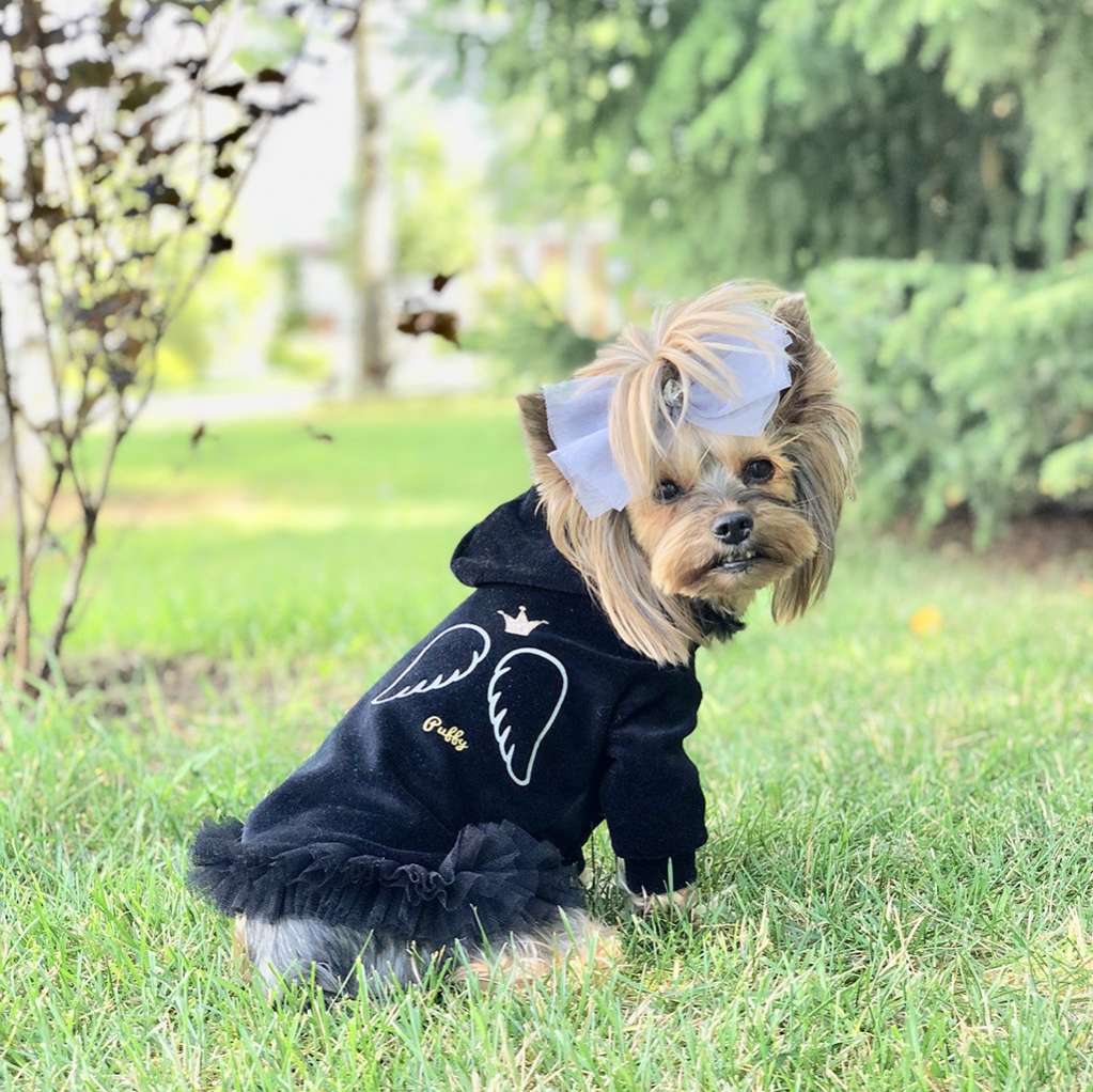 Толстовка для собаки велюровая Puffy Маленький ангел с юбкой