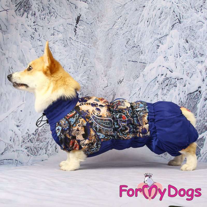 Комбинезон для таксы и корги ForMyDogs Цветник