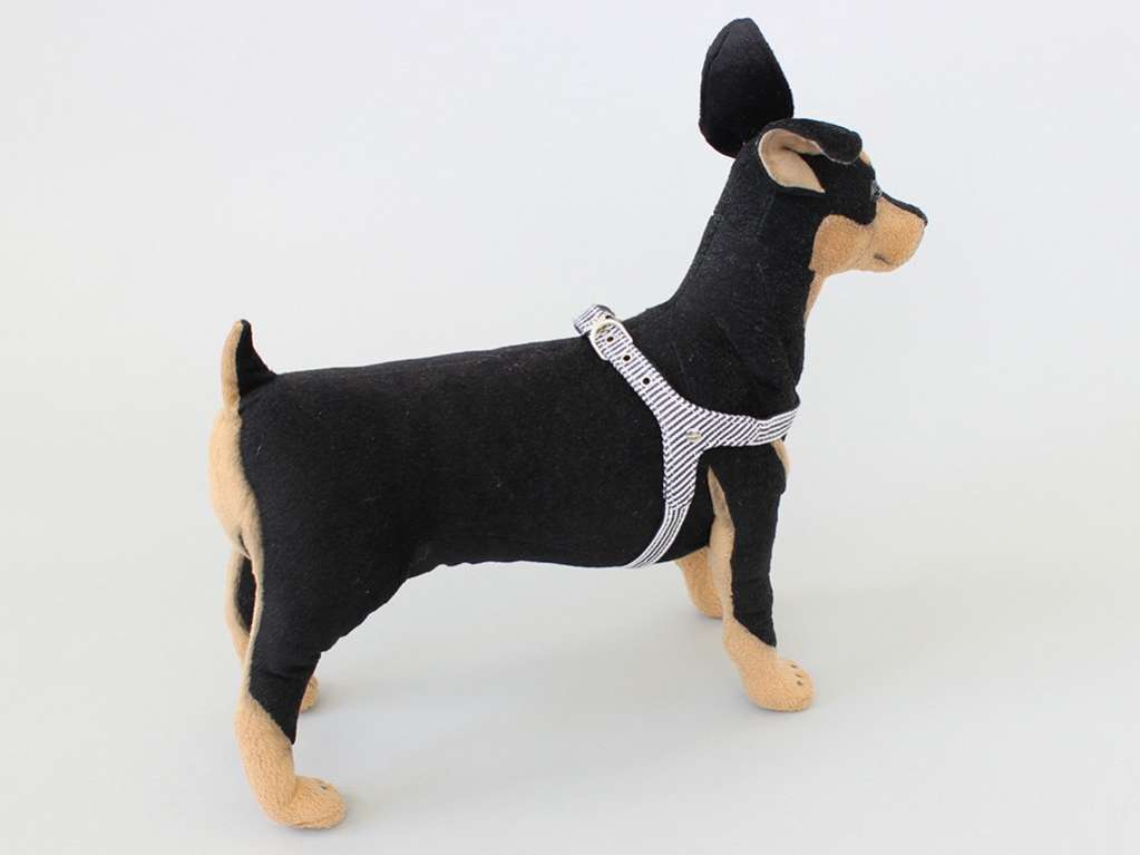 Шлейка для собак Pet Стрип