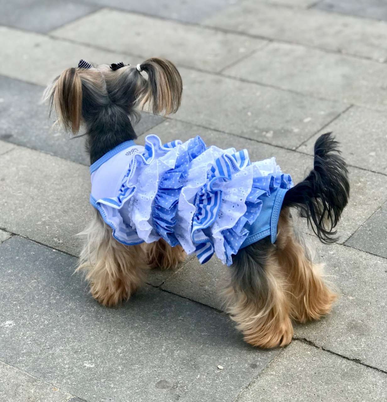 Платье для собак Premium Зефир