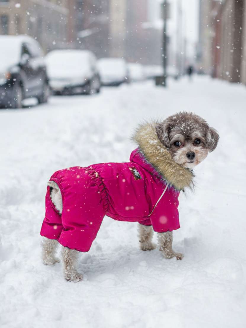 Комбинезон Puffy Аляска на шёлке малина