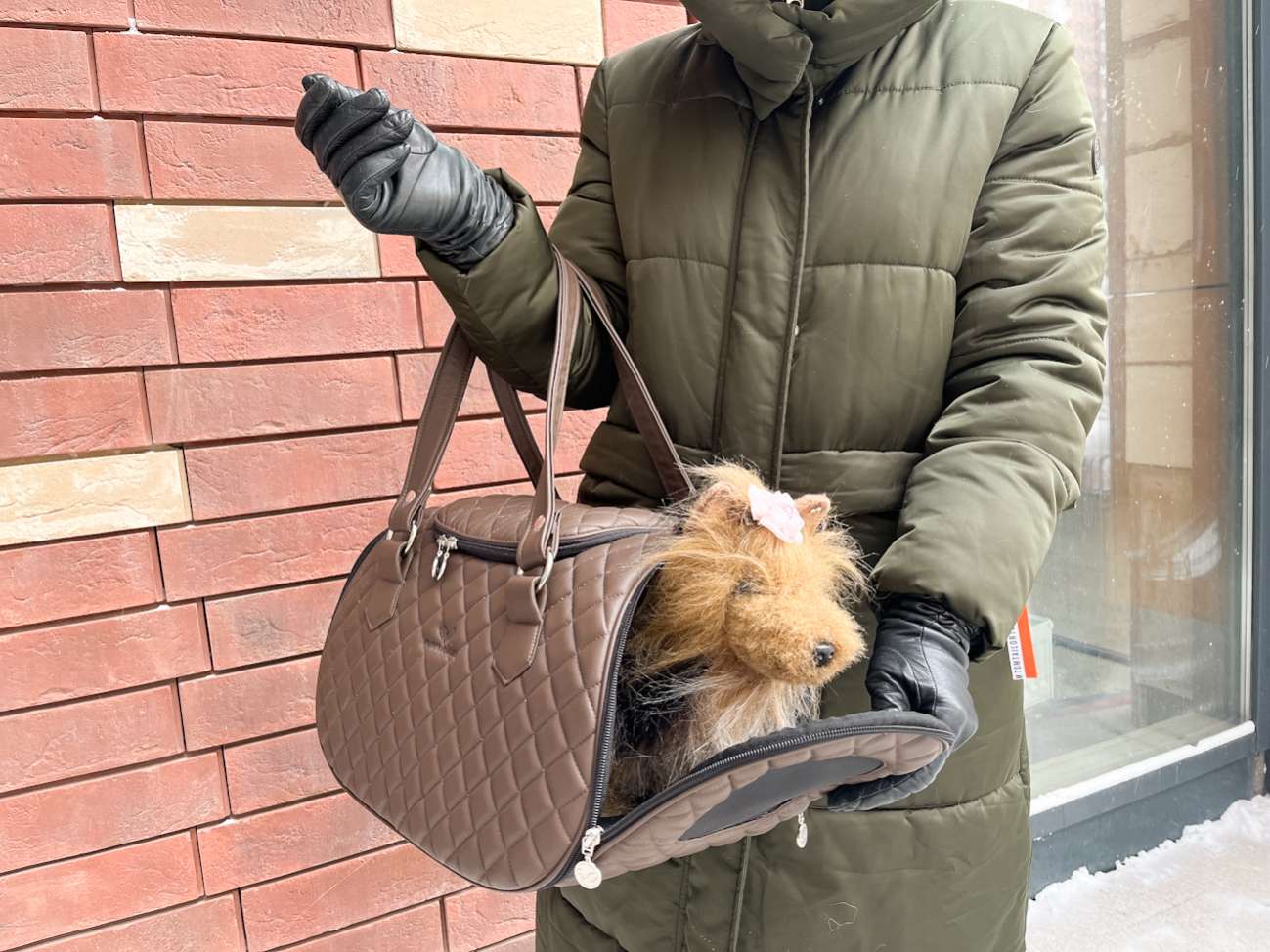 Сумка для собак PuppyAngel Полет