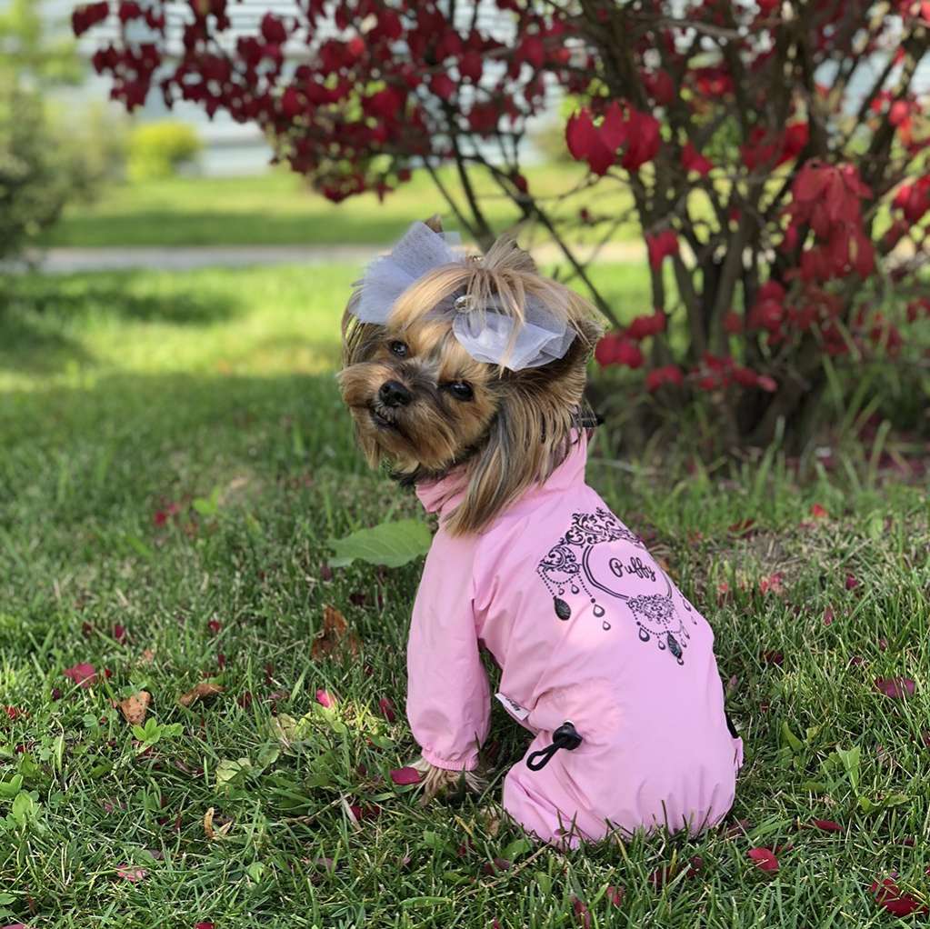 Дождевик для собаки Puffy Tatoo