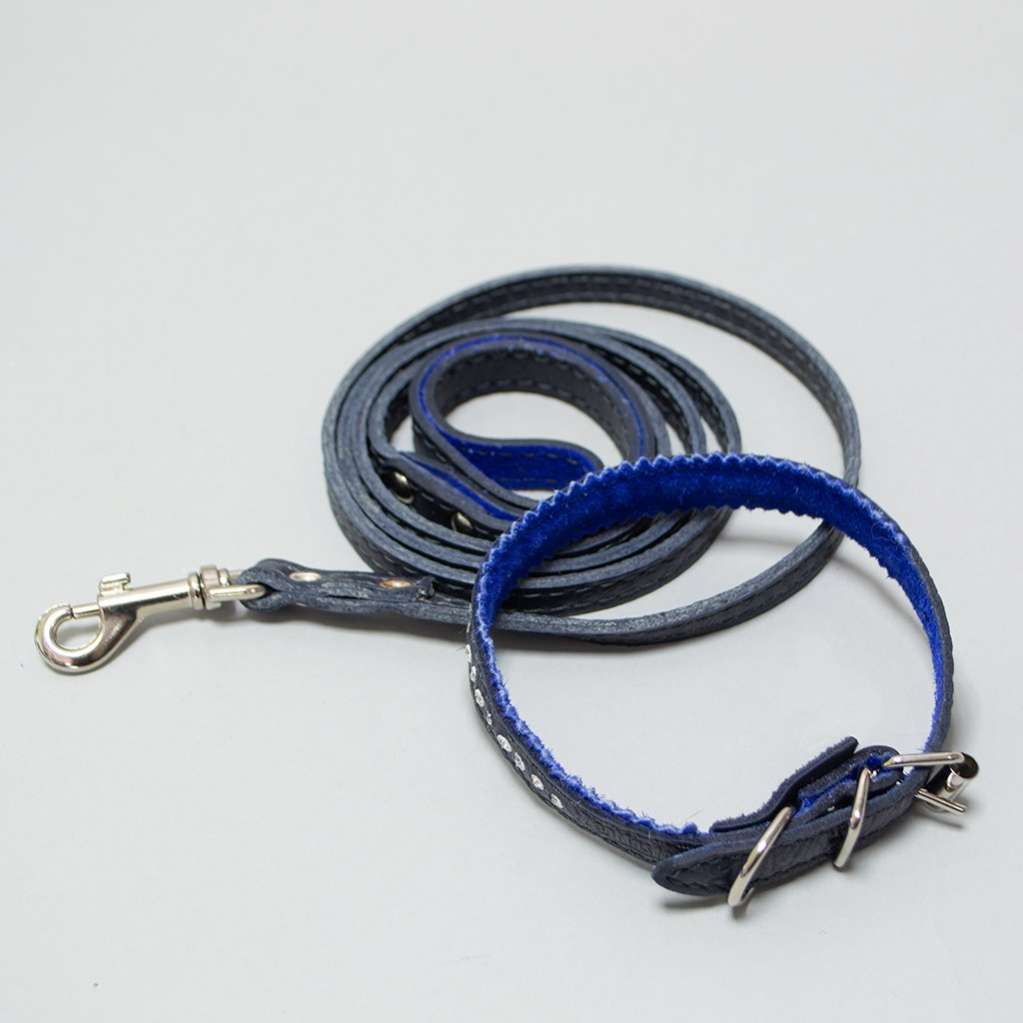 Ошейник и поводок для собаки кожаные