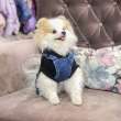 Комбинезон для собак джинсовый Pet Марио