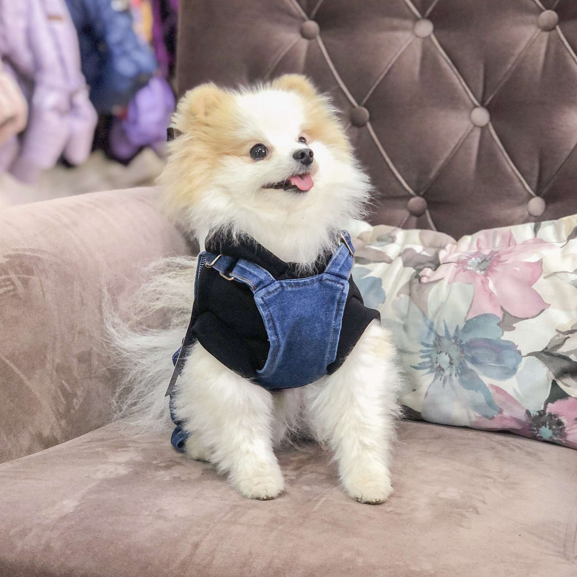 Комбинезон для собак джинсовый Pet Марио