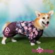 Дождевик для таксы и корги ForMyDogs Кувшинки