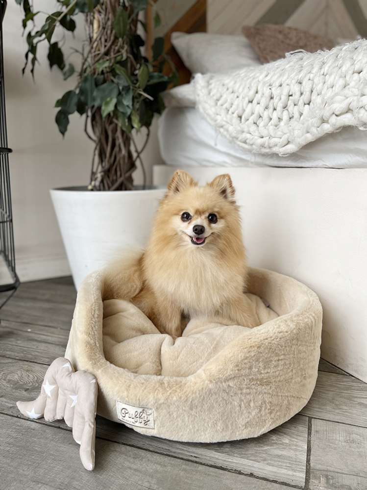 [Лежак] Лежанка для собак Puffy Нуга