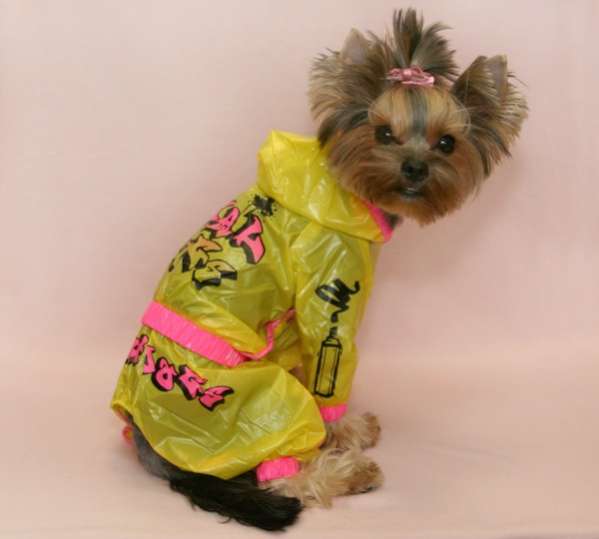 Дождевик для собаки Luxury Граффити