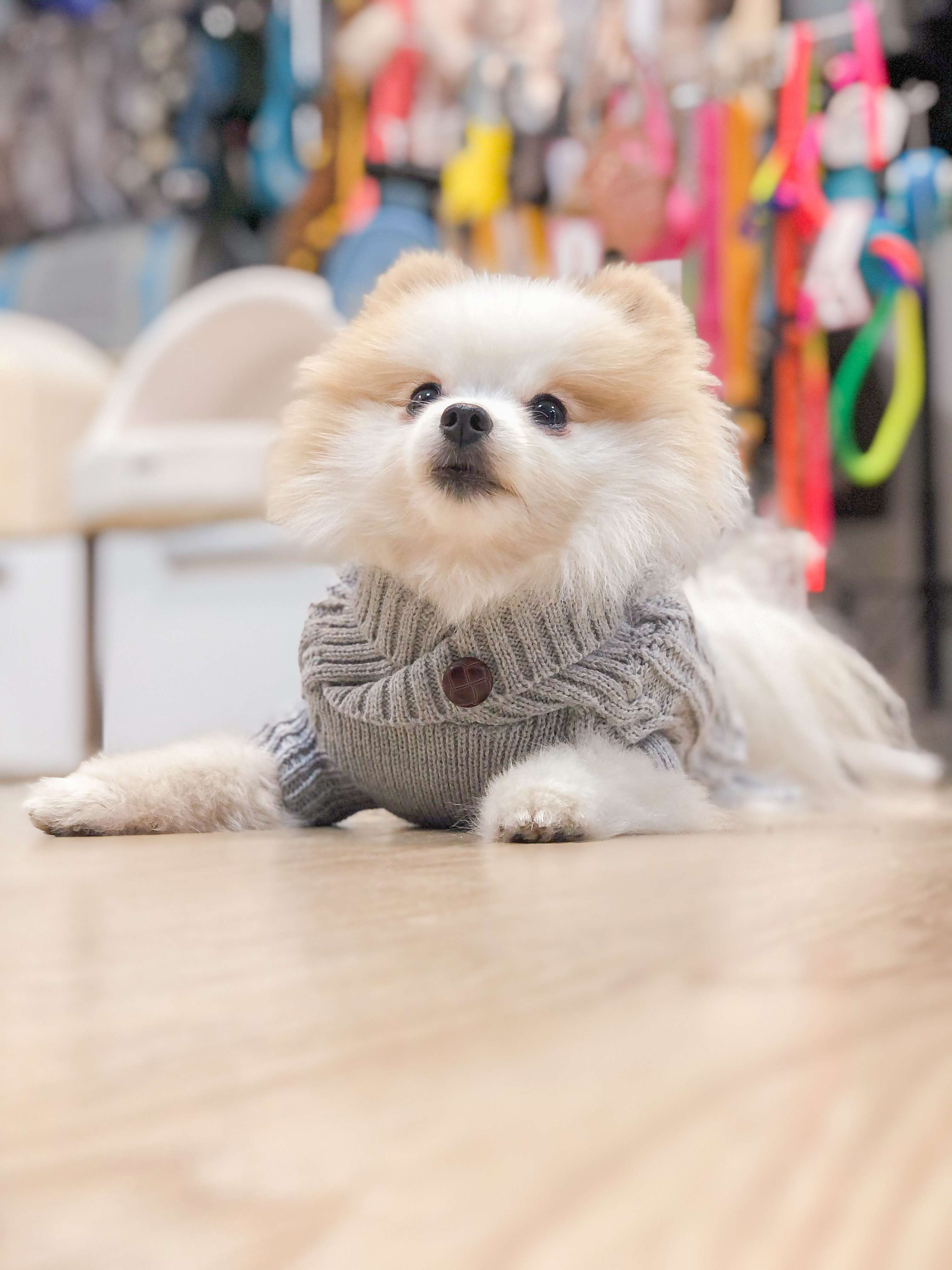 Кардиган для собаки Pet Эмерсон