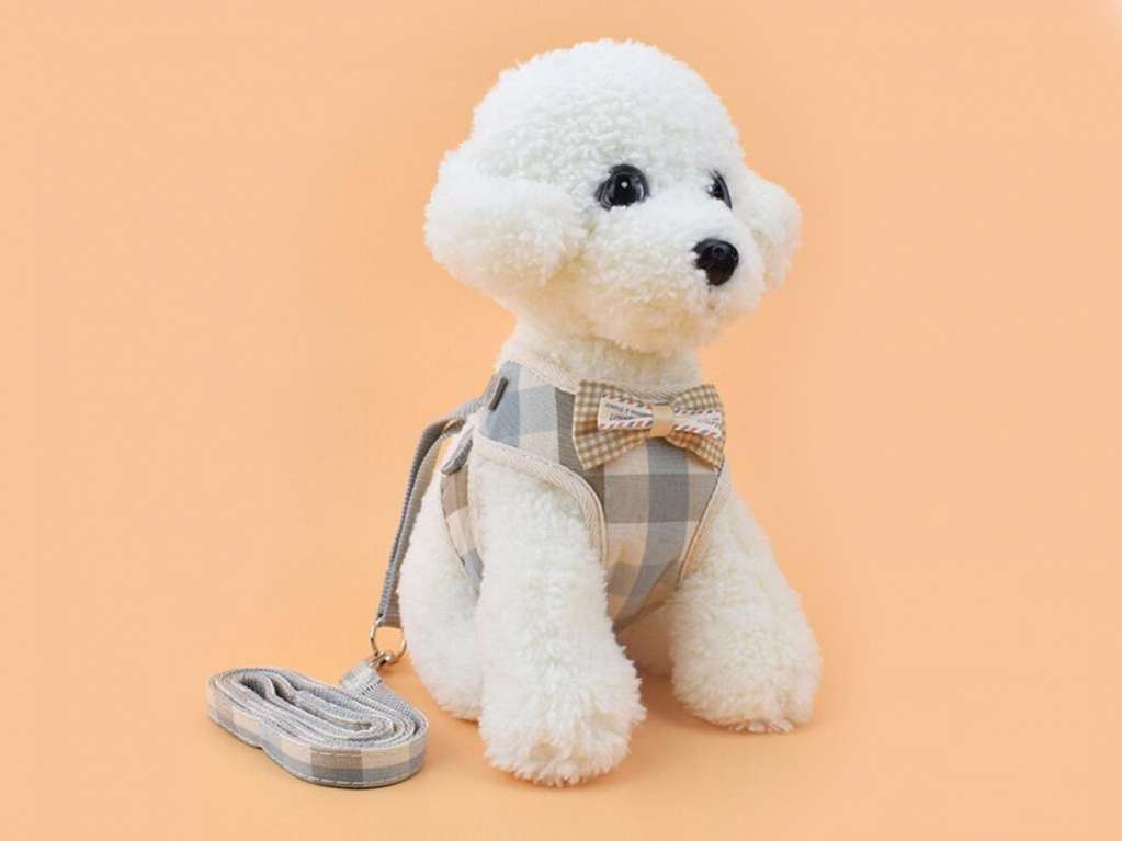 Шлейка с поводком для собак Pet Bonjour