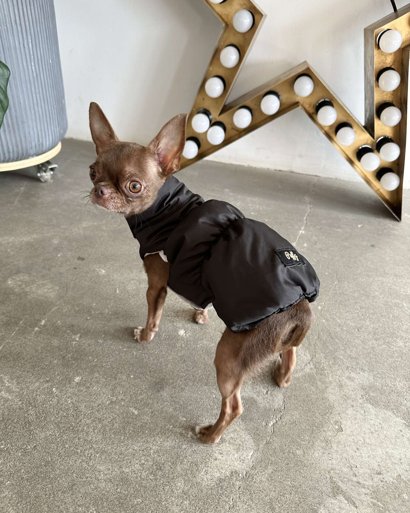 Жилетка для собаки Puffy Флеш Черный