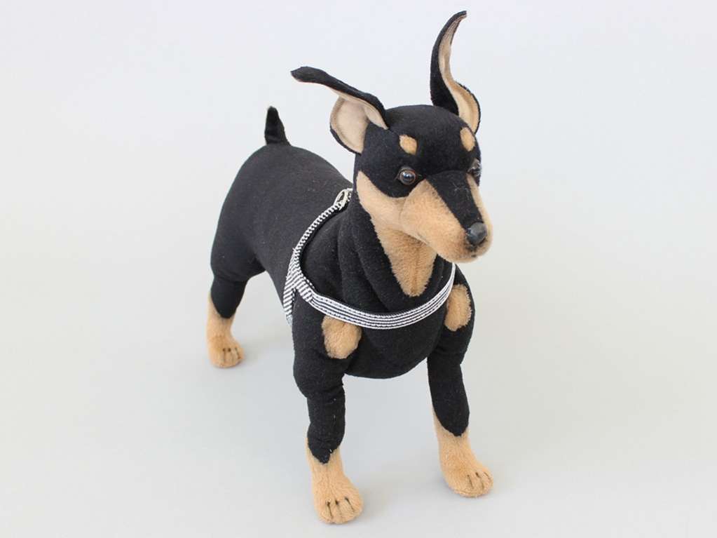 Шлейка для собак Pet Стрип