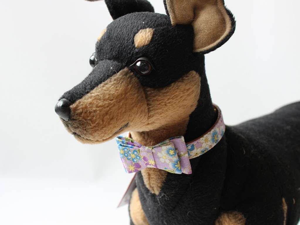 Ошейник и поводок для собаки Гармония