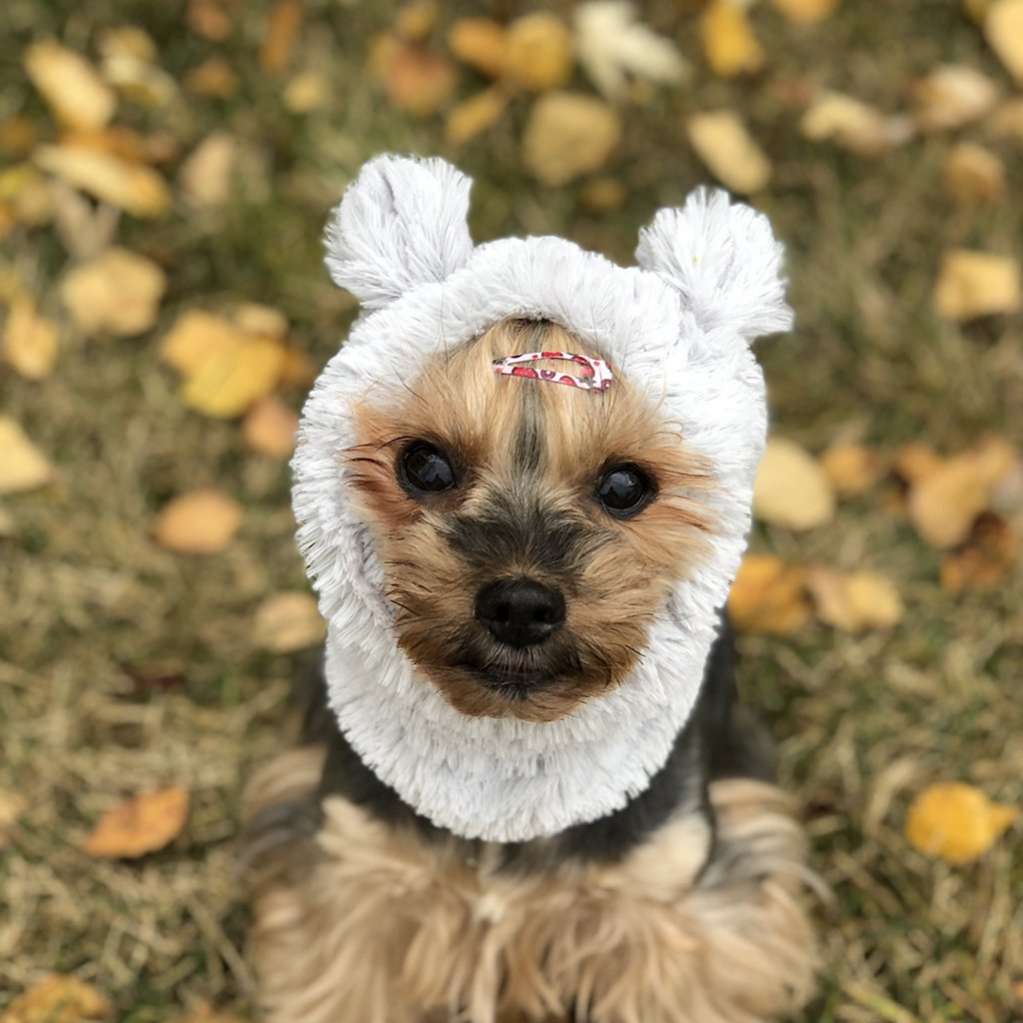 Шапка для собаки Капор Puffy Гамми Белый