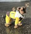 Комплект костюм и жилет для собаки Premium 15