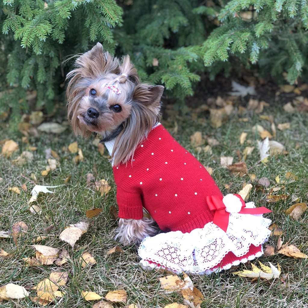 Шерстяное платье для собак Puffy Мэри