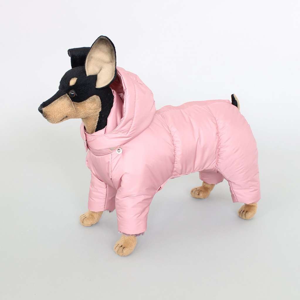 Комбинезон для собак Северное сияние Пудра