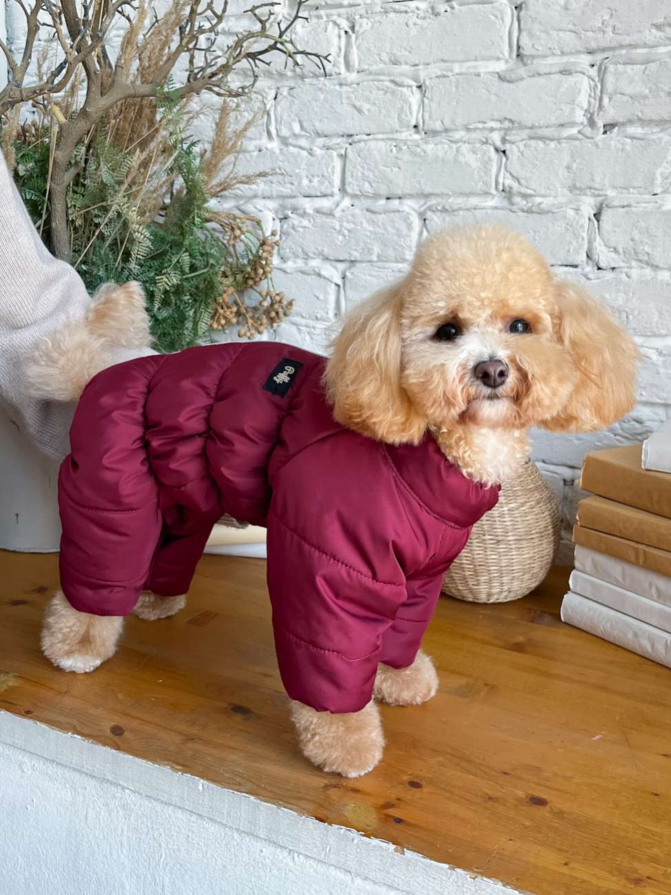 Зимний комбинезон для собак Puffy Норд Бордовый