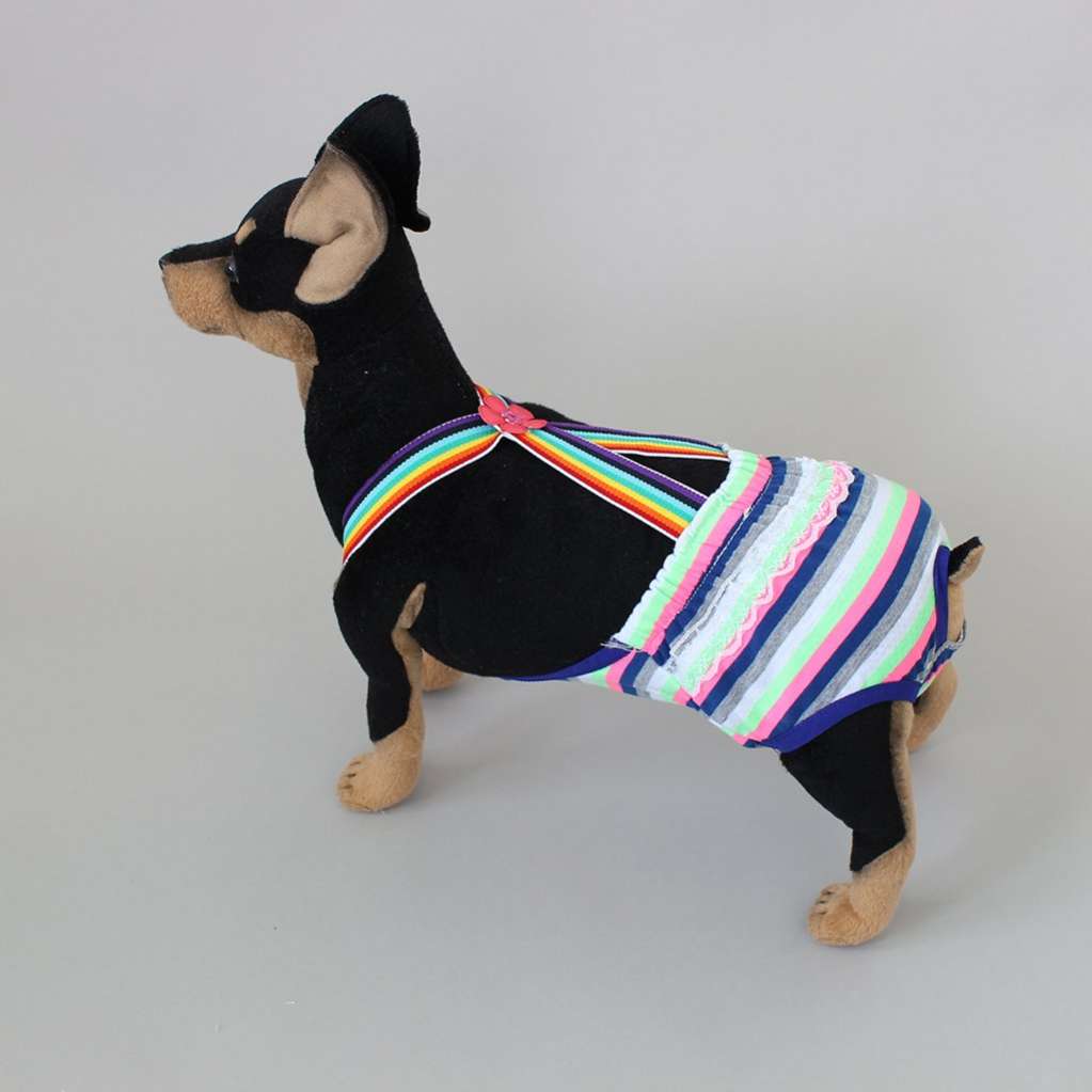 Трусы для собак Подтяжки