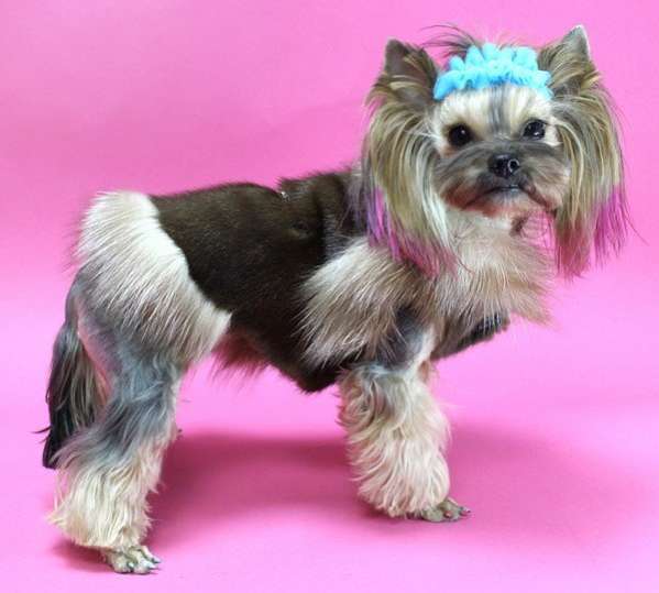 Шуба для собак норковая коричневая лиса