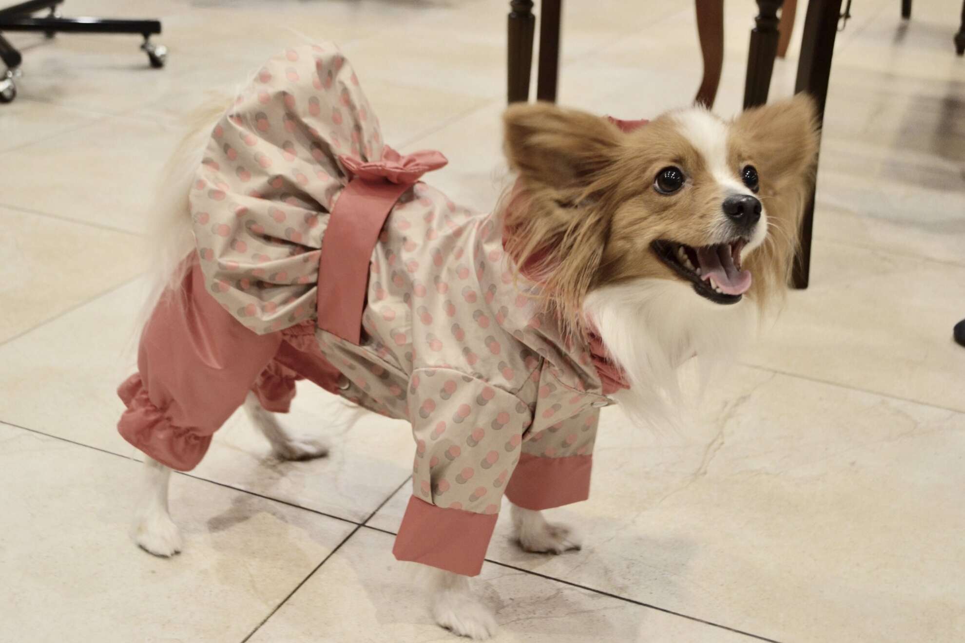 Дождевик для собаки Горошки