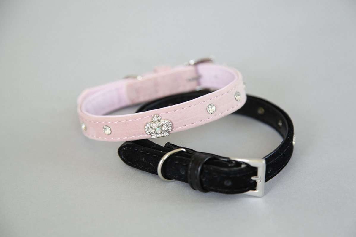 Ошейник для собак Pet Корона