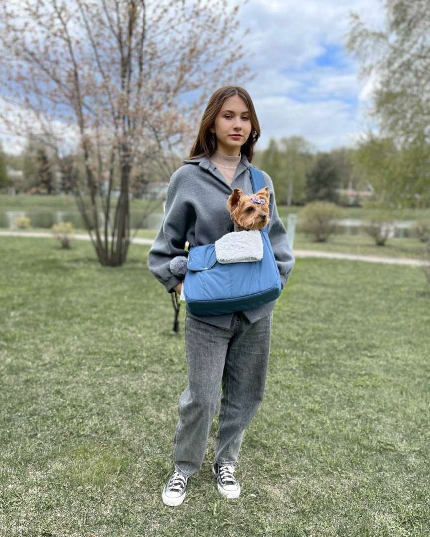 Сумка-слинг для собак Puffy Прогулка шторм