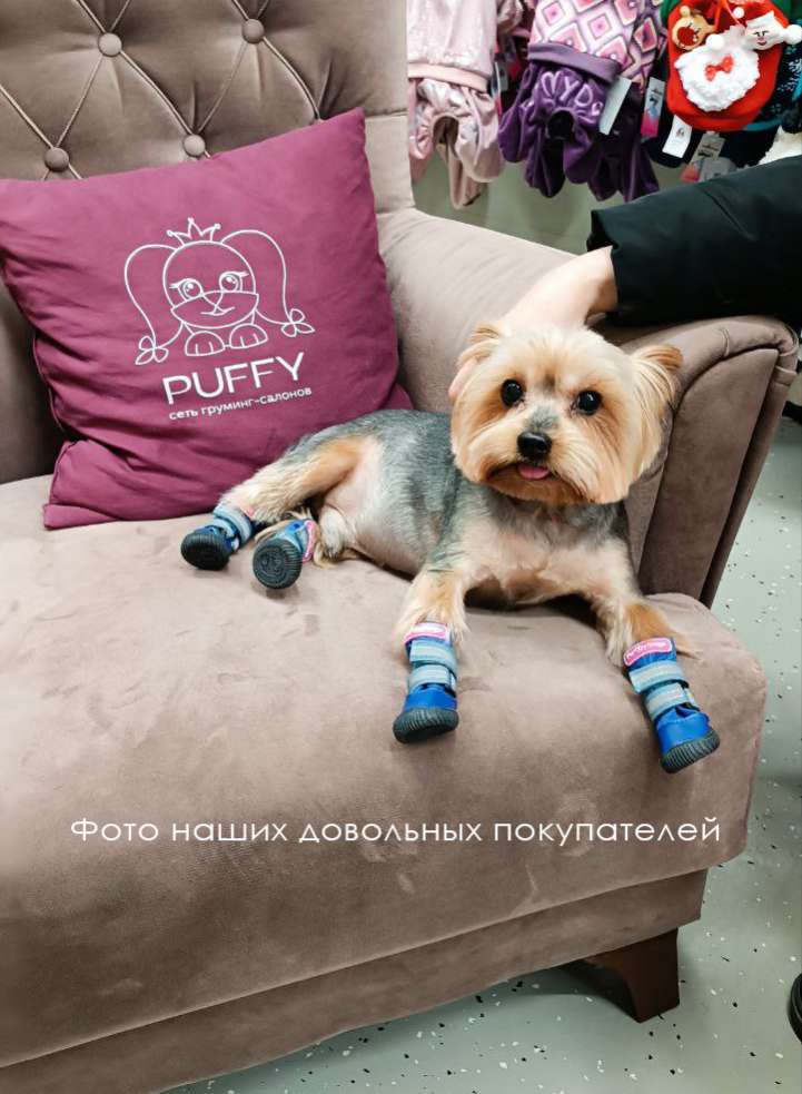 Сапоги ForMyDogs Урбан Синие