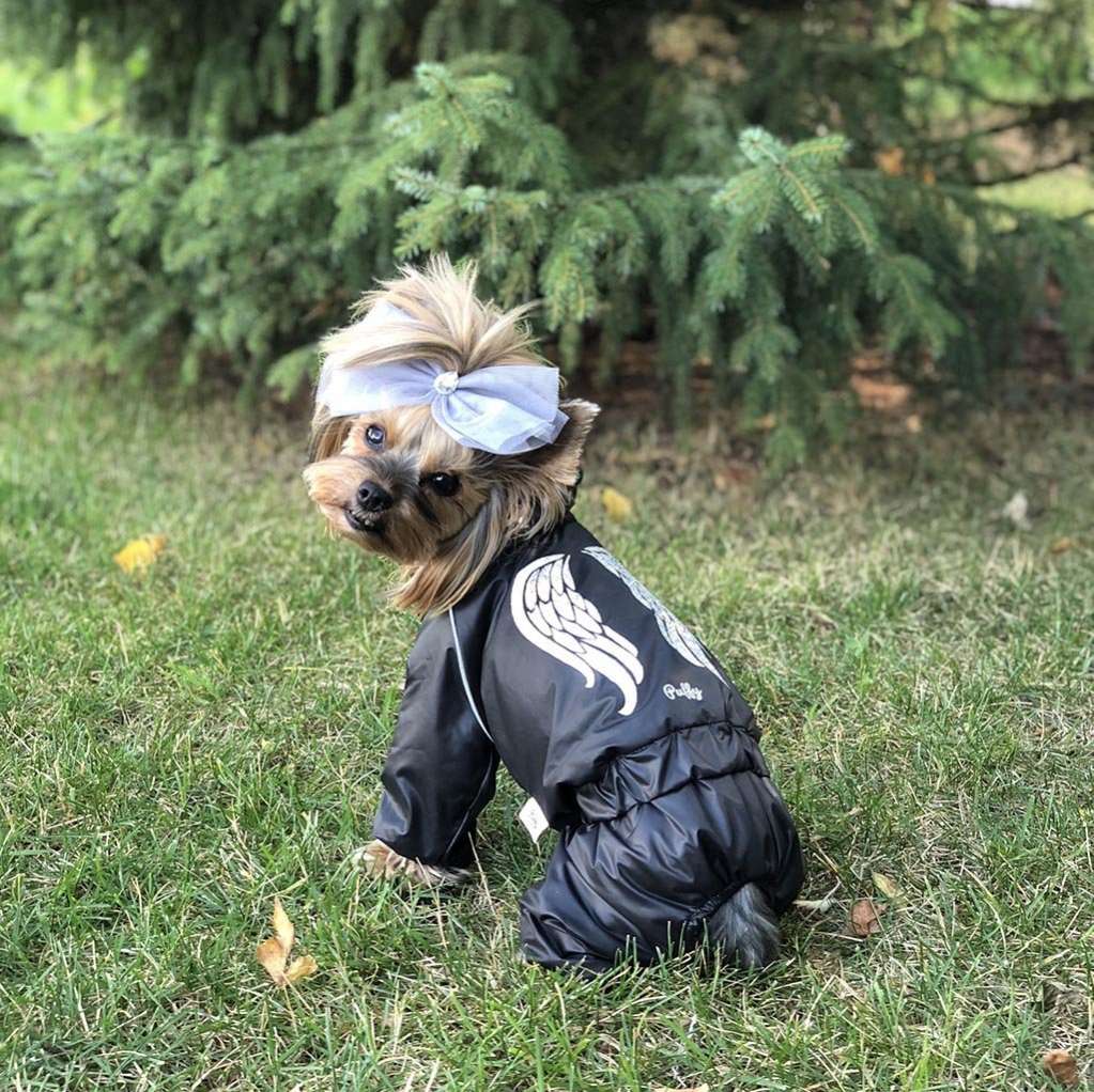 Дождевик для собаки утепленный Puffy Angel