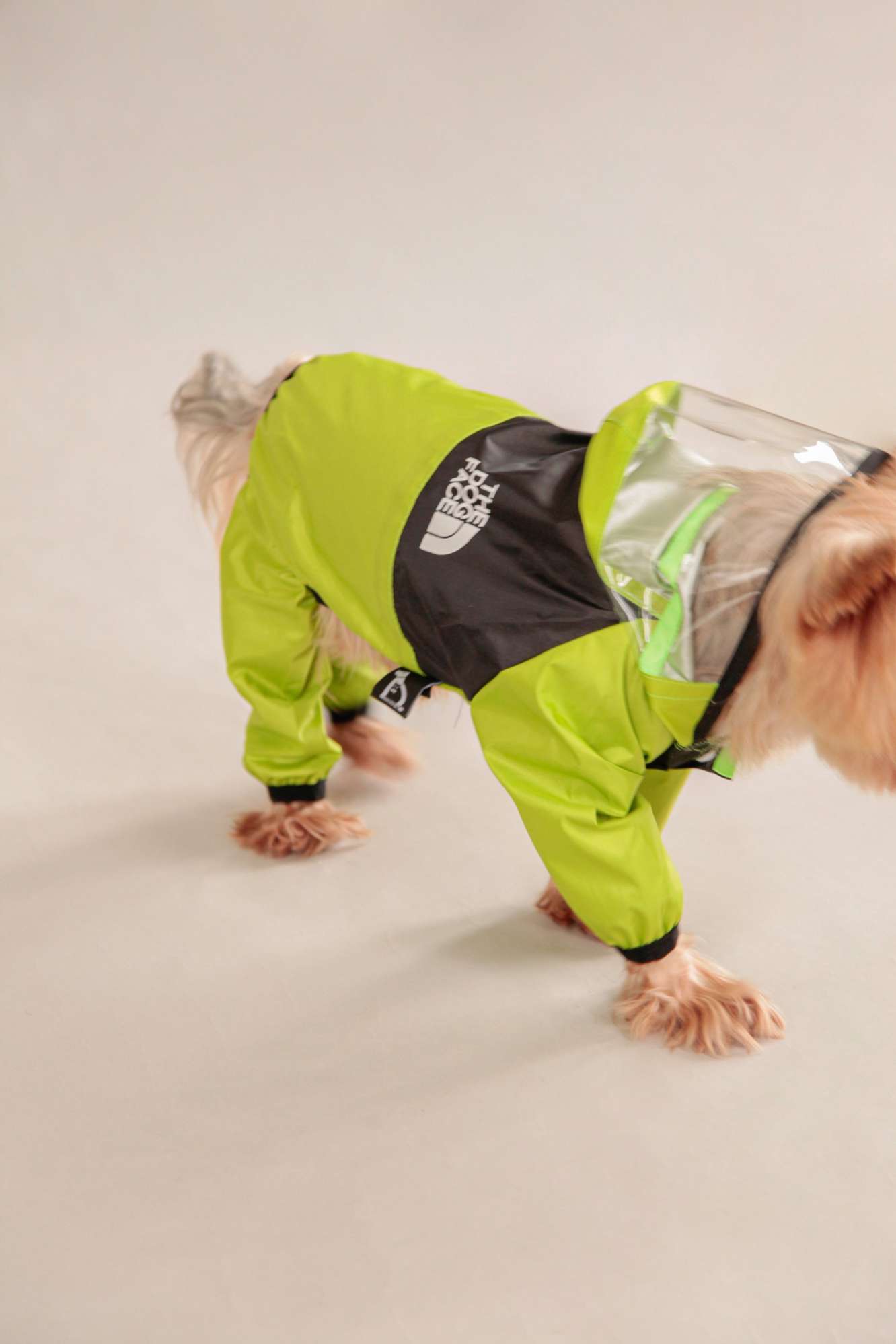 Дождевик для собаки Pet Палермо