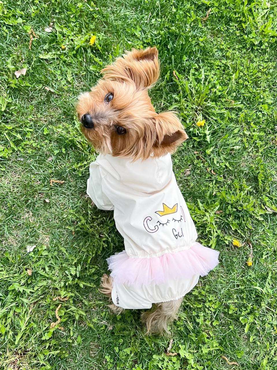 Дождевик для собаки Puffy Cool girl