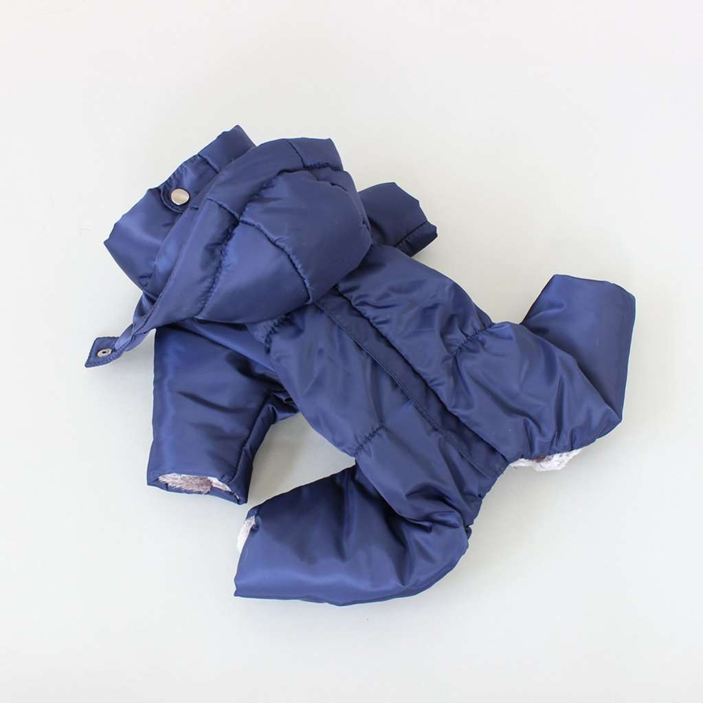 Зимний комбинезон для собак Северное сияние Гавана