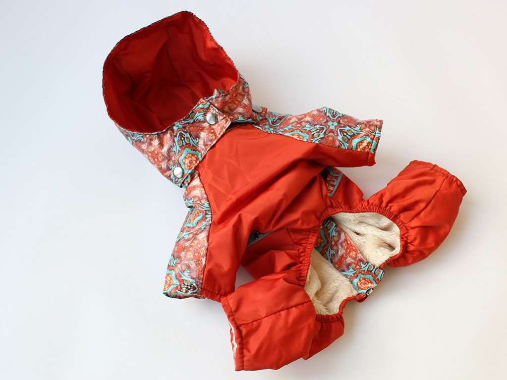 Дождевик для собаки Листопад