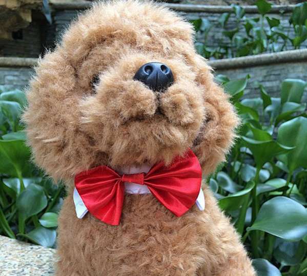 Воротник для собак с бабочкой