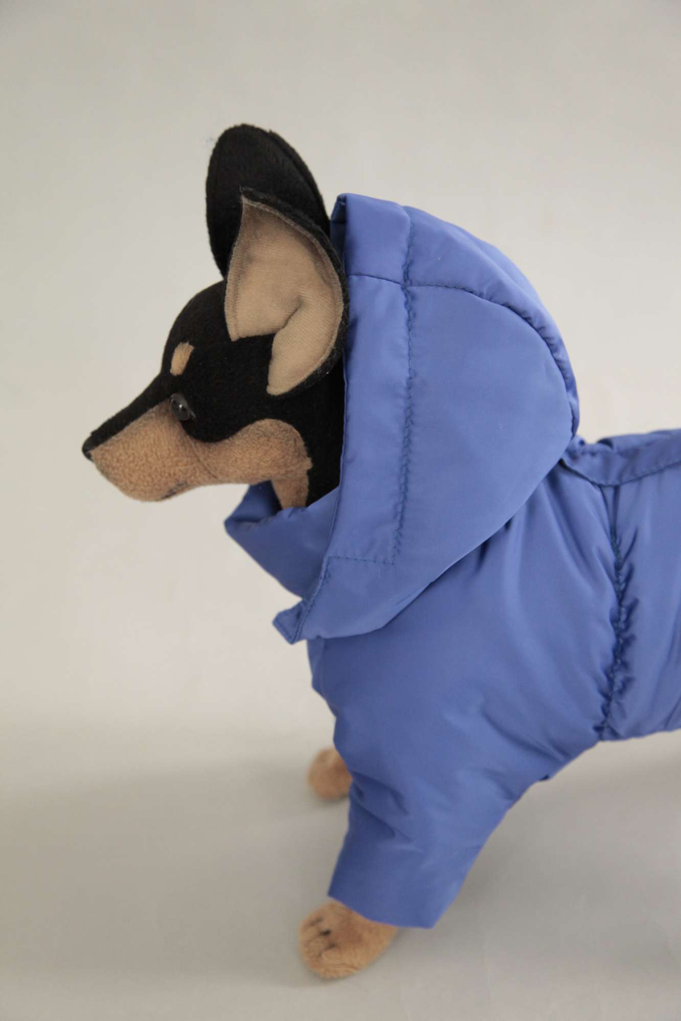 Зимний комбинезон для собак Северное сияние Гавана