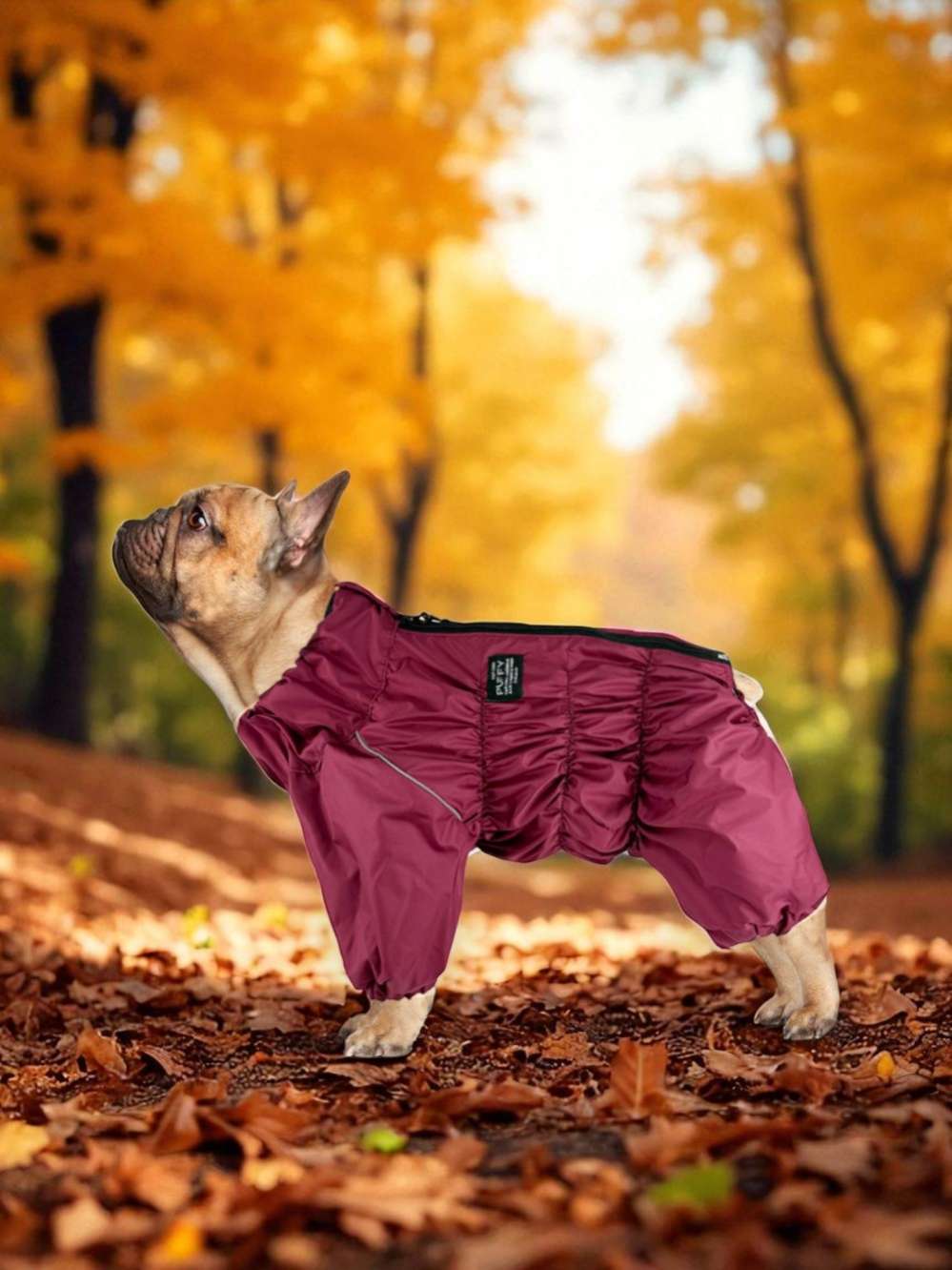 Утепленный дождевик Puffy для мопсов и бульдогов Бордо