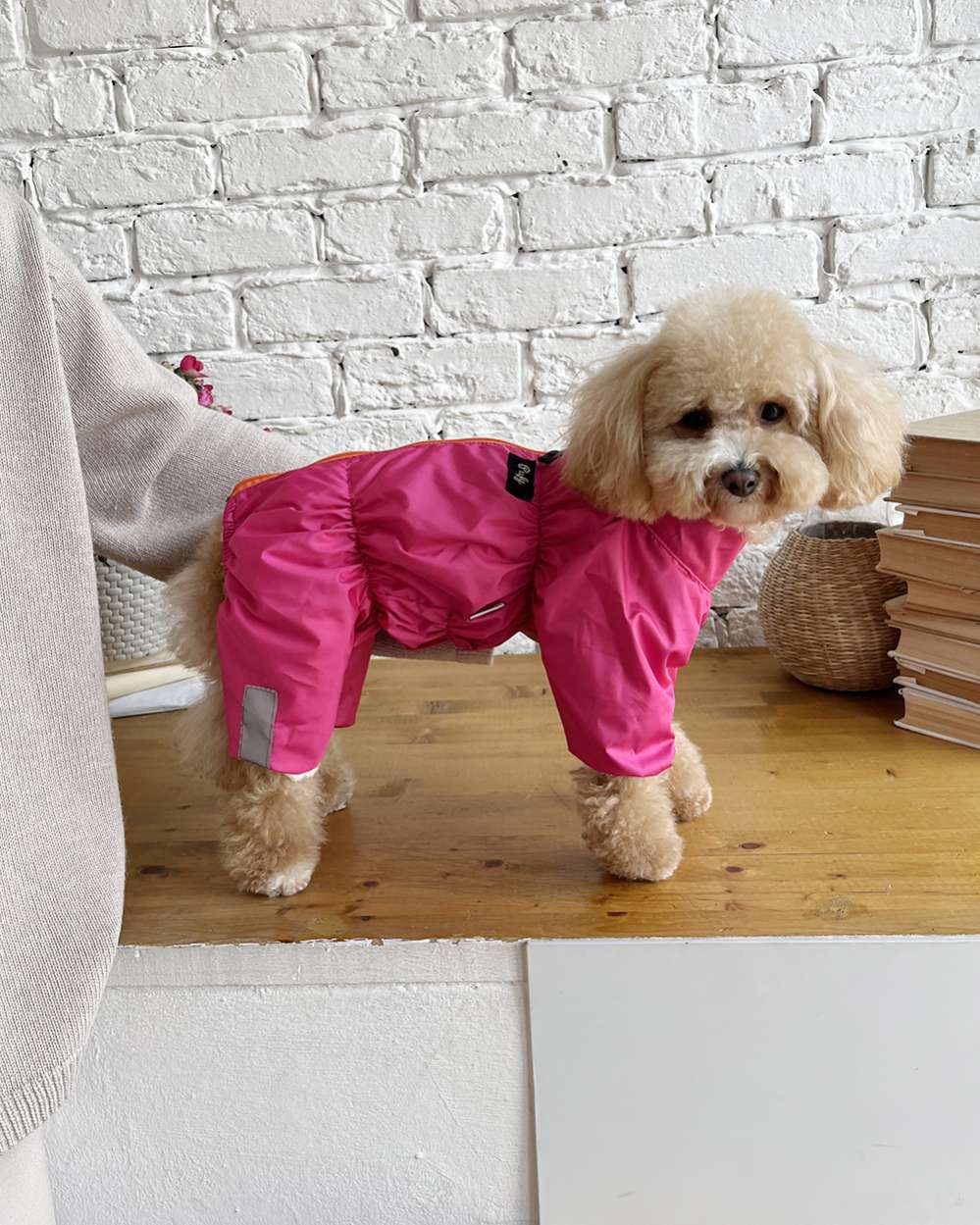 Дождевик для собаки утепленный Puffy Лион фуксия