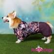 Дождевик для таксы и корги ForMyDogs Кувшинки