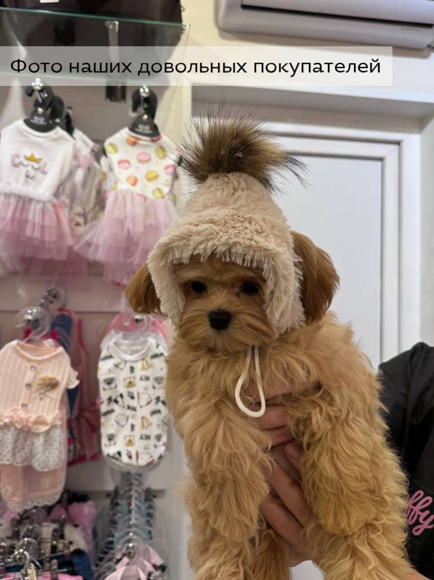 Шапка для собаки Puffy Зимушка