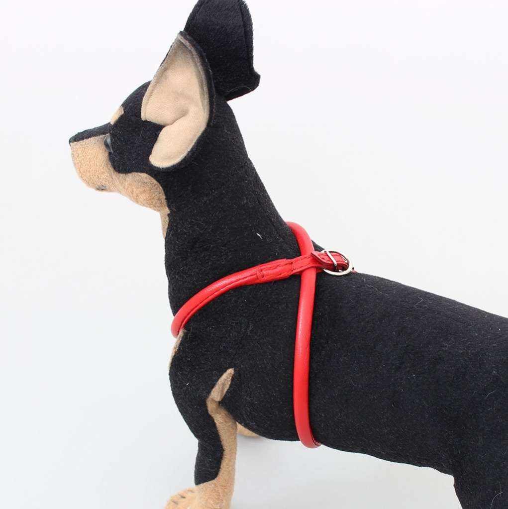 Кожаная шлейка для собак круглая для шпица