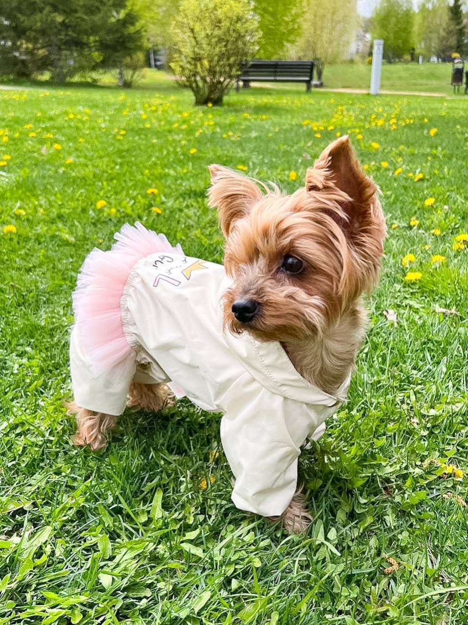 Дождевик для собаки Puffy Cool girl