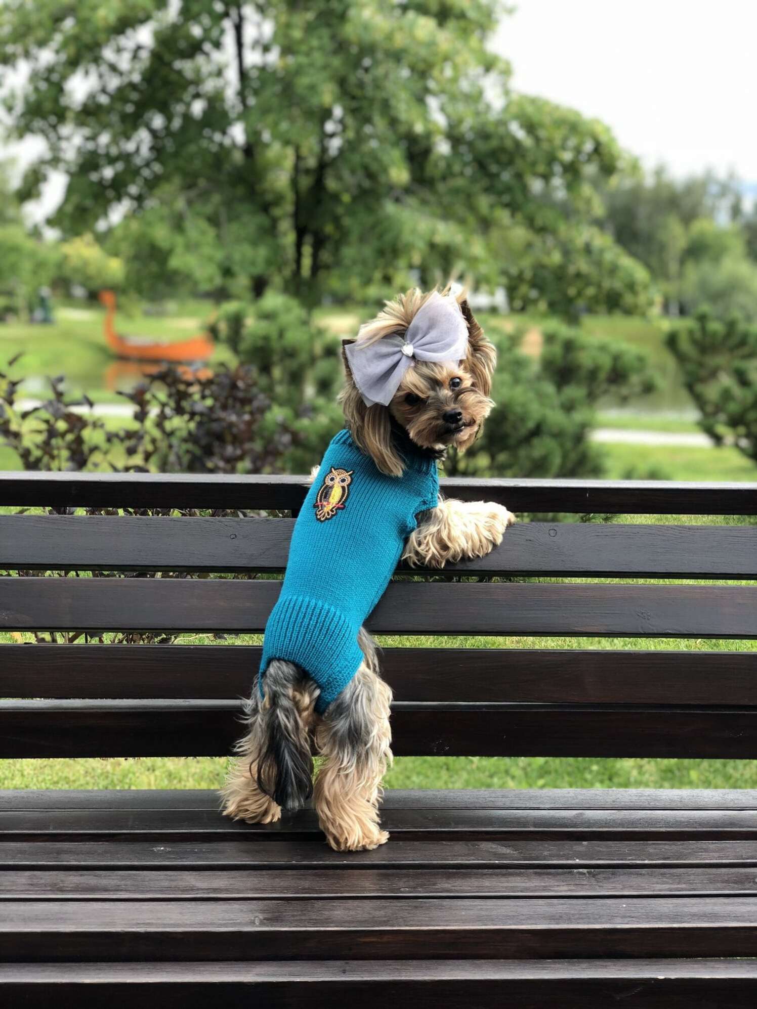 Вязаный свитер для собаки Puffy Филин