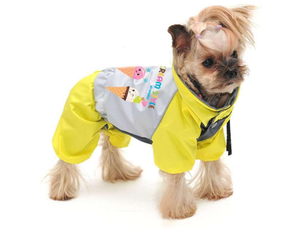 Дождевик для собаки Premium Мороженое