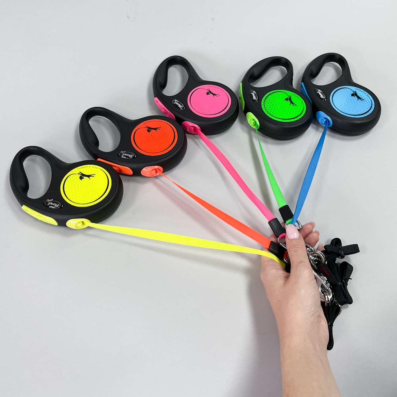 Рулетка для собак на ленте Flexi New Neon