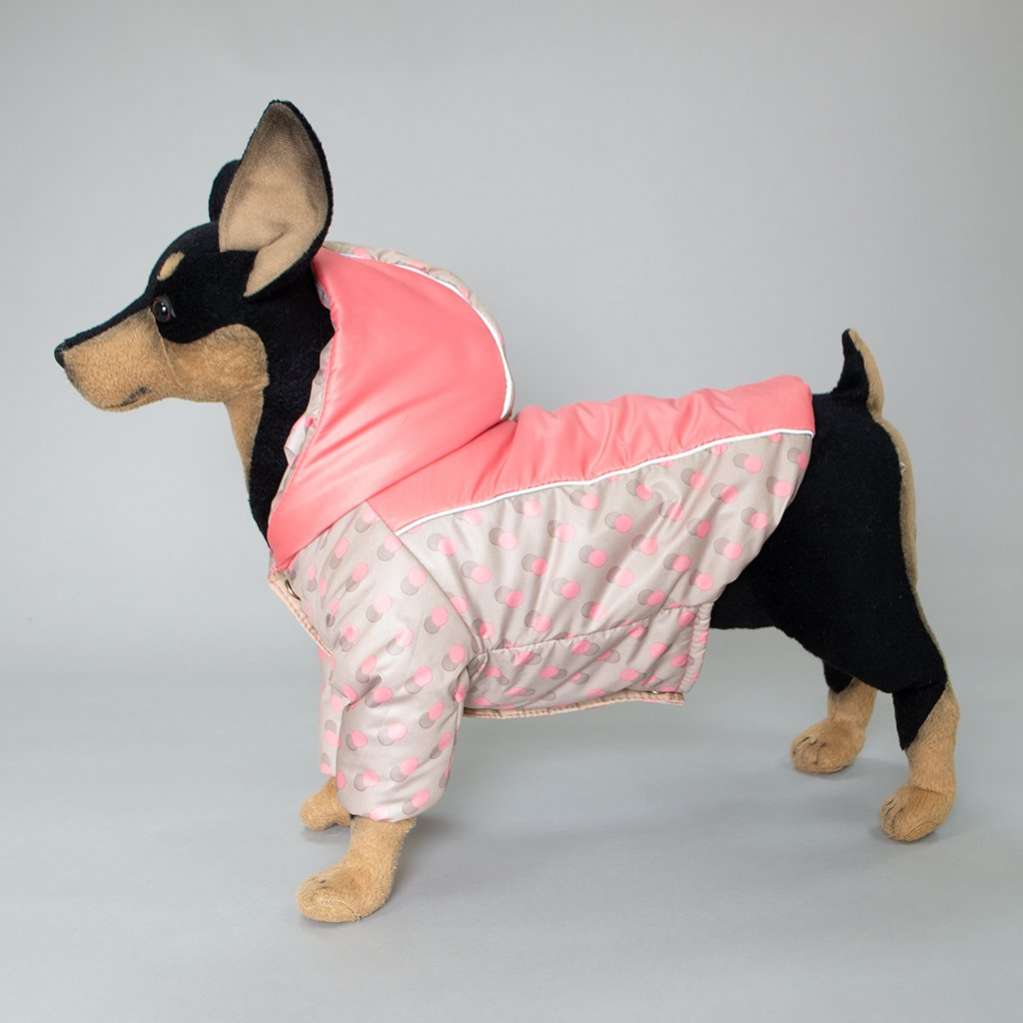 Куртка для собаки  Горошки